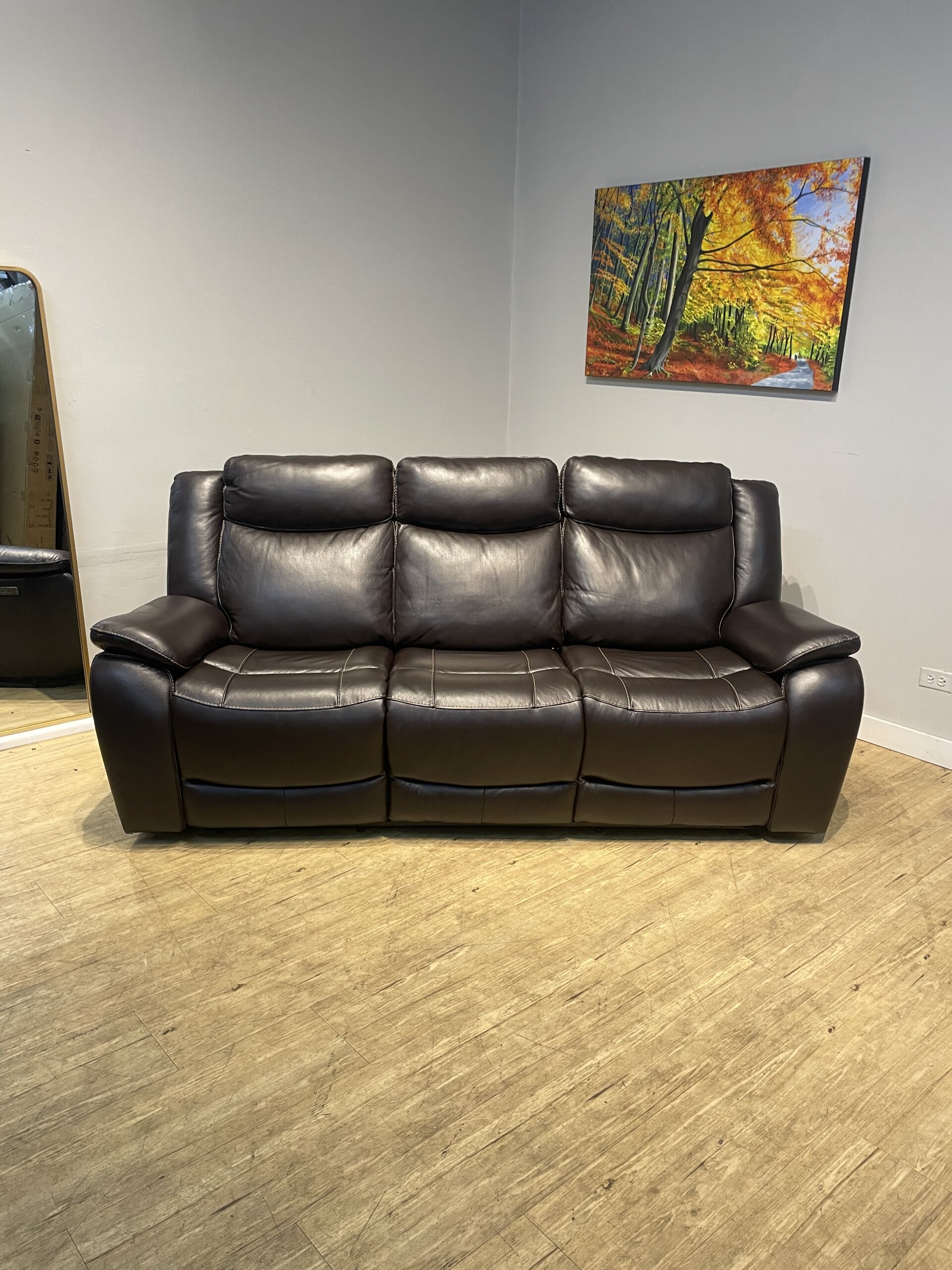 Harvey Leather Power Reclining Sofa with Power Headrests